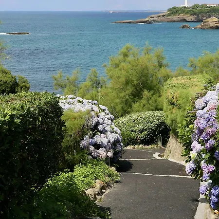 Апартаменты Spacieux Et Renove Au Coeur De Biarritz, A Deux Pas De La Et Des Commerces - Fr-1-239-802 Биарриц